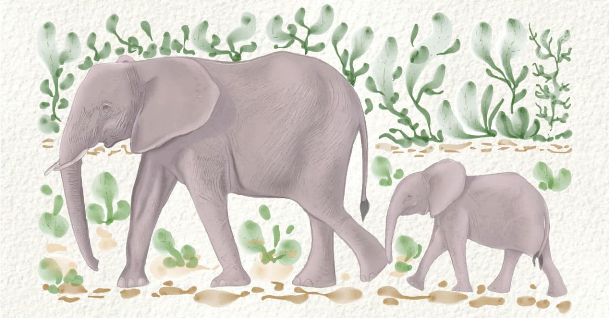 Hướng dẫn vẽ con voi đơn giản chỉ với 9 bước, bé làm được ngay!